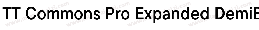 TT Commons Pro Expanded DemiBold字体转换